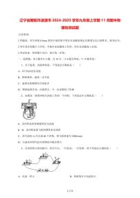 辽宁省朝阳市凌源市2024_2025学年度九年级上册(11月)期中物理试卷【答案】