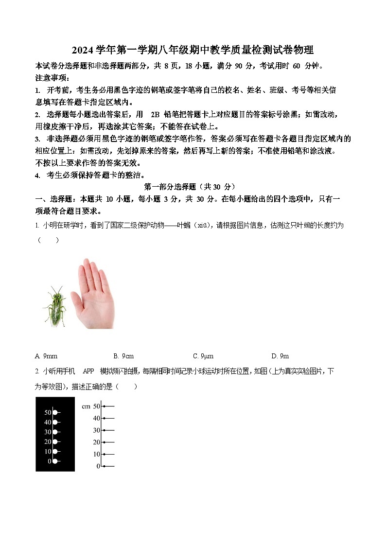 广东省广州市荔湾区西关广雅实验学校2024-2025学年八年级上学期期中考试物理试题(含答案)第1页