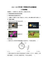 河北省承德市承德县2024-2025学年八年级上学期期末考试物理试卷