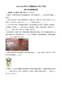 精品解析：江西省新余市第五中学2024-2025学年九年级上学期11月期中物理试题（原卷版+解析版）