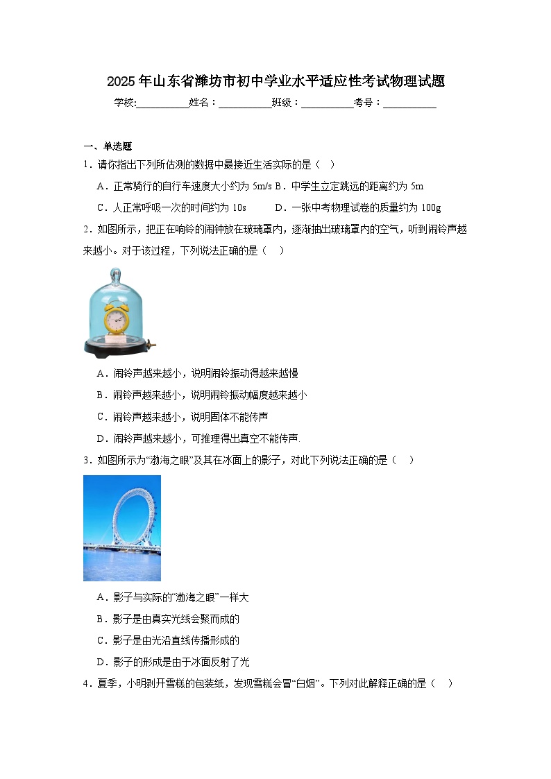 2025年山东省潍坊市初中学业水平适应性考试物理试题（附答案解析）
