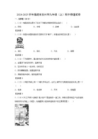 福建省泉州市2024-2025学年九年级上学期期中物理试卷