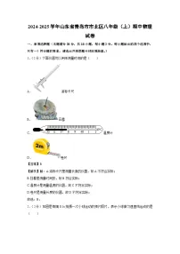 山东省青岛市市北区2024-2025学年八年级上学期期中物理物理试卷