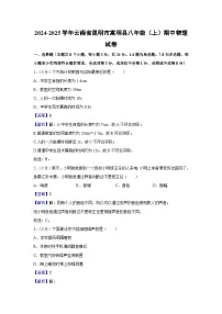 云南省昆明市嵩明县2024-2025学年八年级上学期期中物理试卷