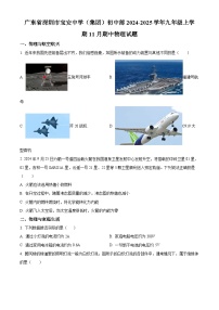 精品解析：广东省深圳市宝安中学（集团）初中部2024-2025学年九年级上学期11月期中物理试题含答案