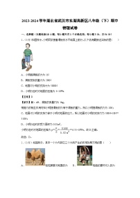 湖北省武汉市东湖高新区2023-2024学年八年级下学期期中物理试卷