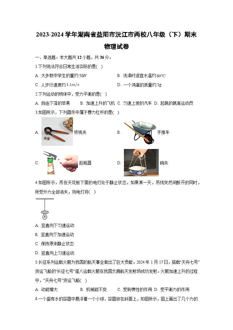 湖南省益阳市沅江市两校联考2023-2024学年八年级下学期7月期末物理物理试卷第1页