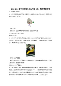 河南省开封市2023-2024学年八年级下学期6月期末物理物理试卷