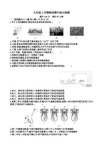 沪科版九年级上学期物理期中考试试题(含答案)