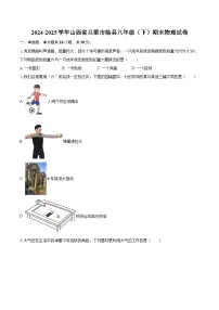 2024-2025学年山西省吕梁市临县八年级（下）期末物理试卷-自定义类型