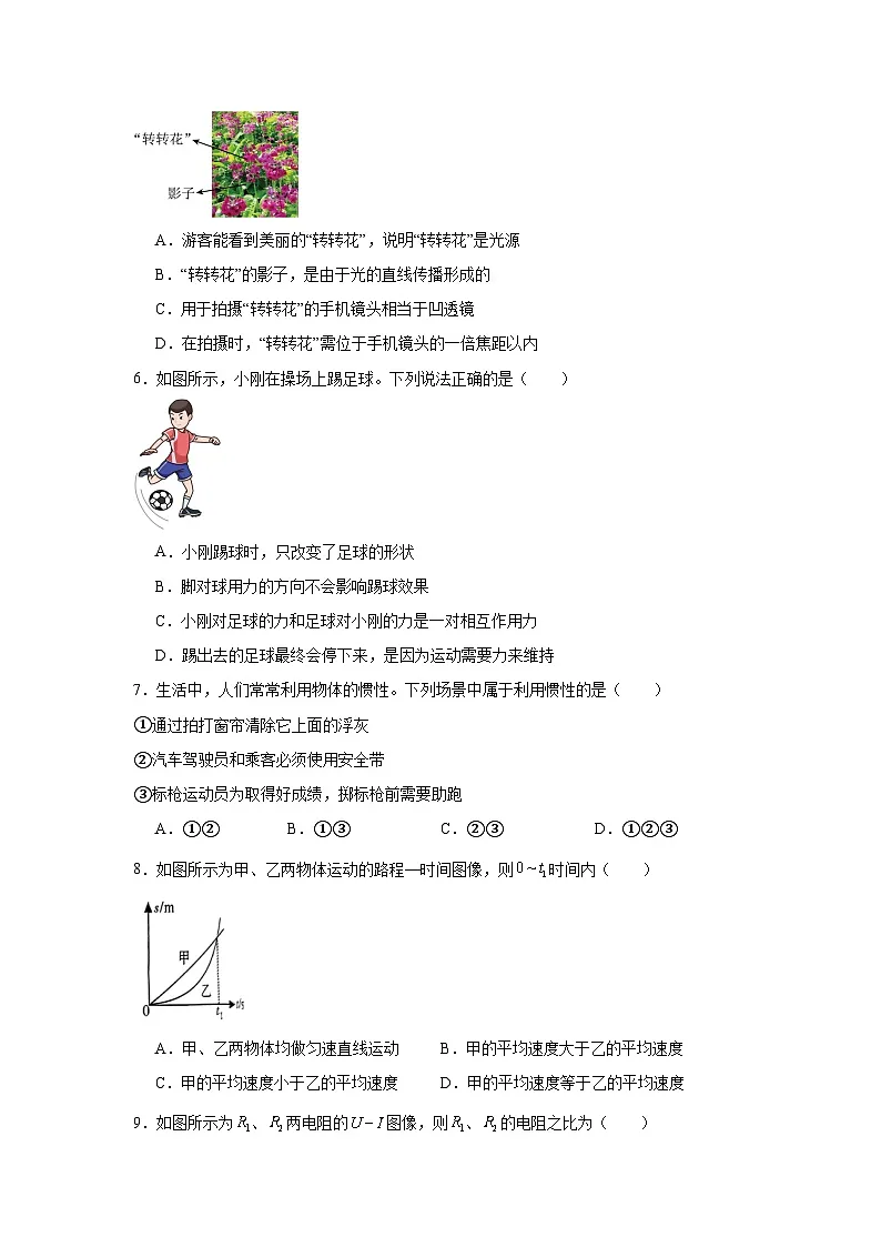 2025年四川省乐山市中考物理真题(附答案解析)第2页