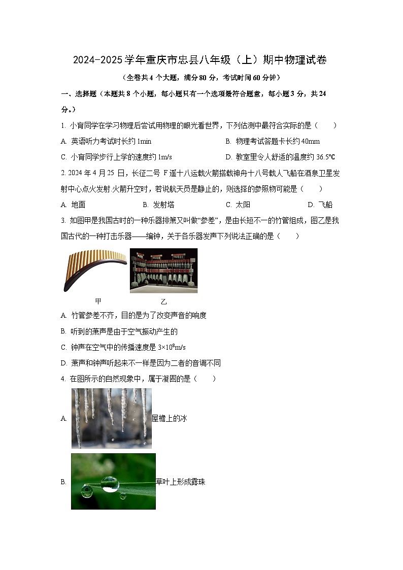 重庆市忠县2024-2025学年八年级上学期期中考试物理试卷(学生版)第1页