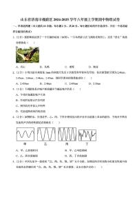 2024-2025年济南市槐荫区八年级物理上学期期中考试及其答案