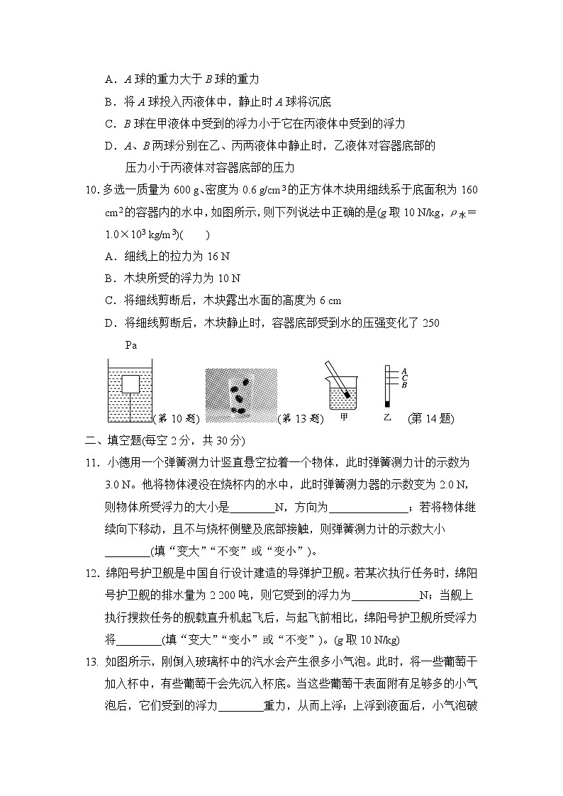 人教版(2024)八年级物理下册 第十章 浮力 章节能力检测卷(试卷含答案)第3页