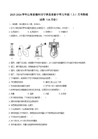 2025-2026学年山东省德州市宁津县育新中学九年级（上）月考物理试卷（10月份）-自定义类型
