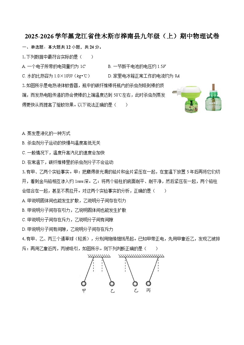 2025-2026学年黑龙江省佳木斯市桦南县九年级(上)期中物理试卷-自定义类型第1页