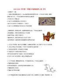 广东省深圳市龙岗区横岗中心学校2025_2026学年九年级上册月考物理试题【附答案】