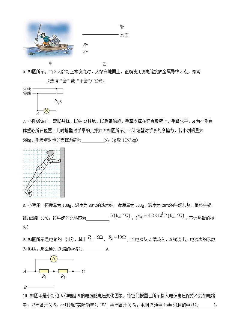 2025年安徽省滁州市天长市中考一模物理试题(原卷版)-A4第2页