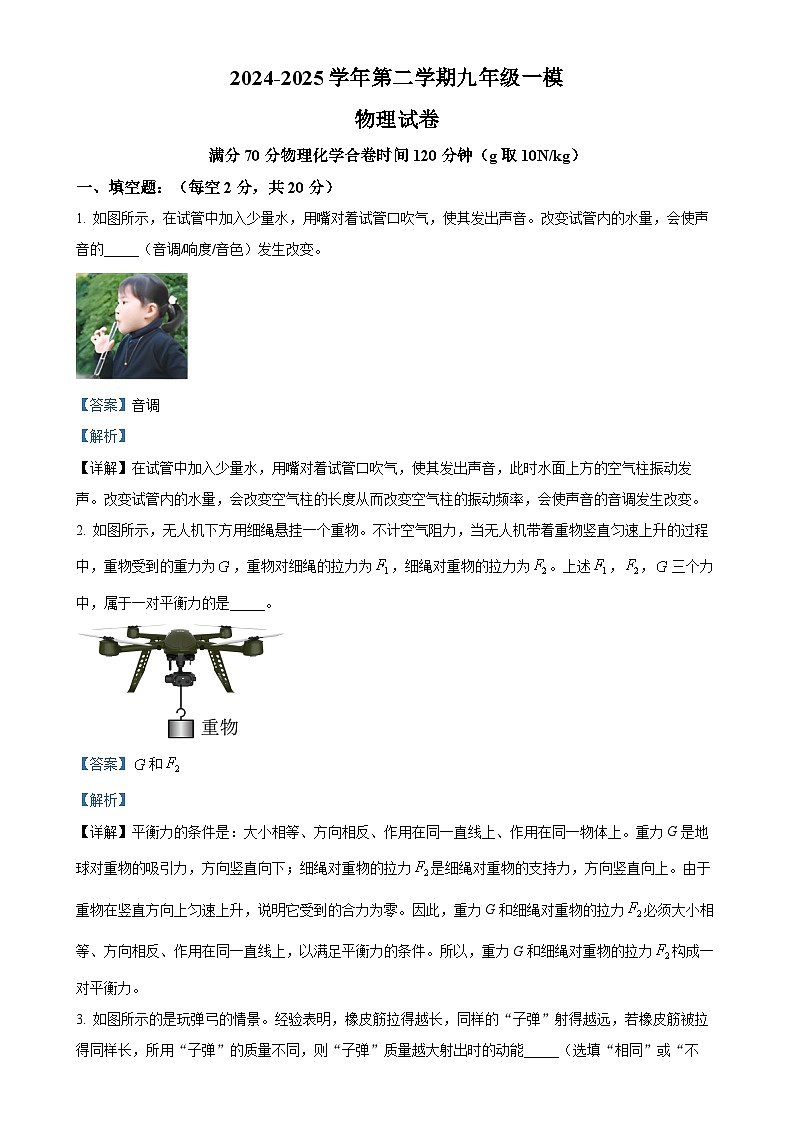 2025年安徽省合肥市庐阳区中考一模物理试题(解析版)-A4第1页