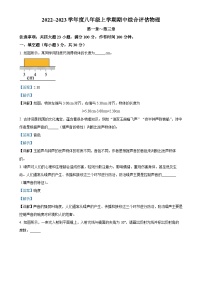 安徽省亳州市谯城区八年级上学期期中评估物理试题（解析版）-A4