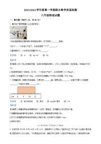 安徽省巢湖市八年级上学期期末考试物理试题(解析版)-A4