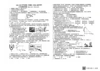 山东省枣庄市第二十八中学2025-2026学年九年级上学期11月期中物理试题
