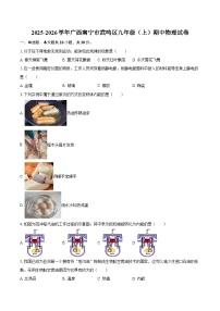 2025-2026学年广西南宁市武鸣区九年级（上）期中物理试卷-自定义类型