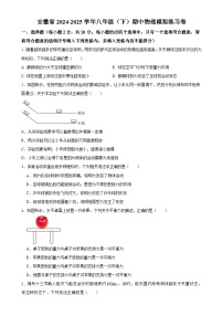 安徽省八年级下学期期中物理模拟练习卷-A4