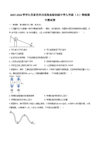 2025-2026学年江苏省苏州市星海实验初级中学九年级（上）物理期中测试卷-自定义类型
