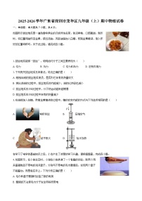 2025-2026学年广东省深圳市龙华区九年级（上）期中物理试卷-自定义类型