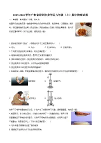 2025-2026学年广东省深圳市龙华区九年级(上)期中物理试卷-自定义类型