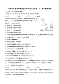 2025-2026学年河南省洛阳市伊川县九年级（上）期中物理试卷-自定义类型