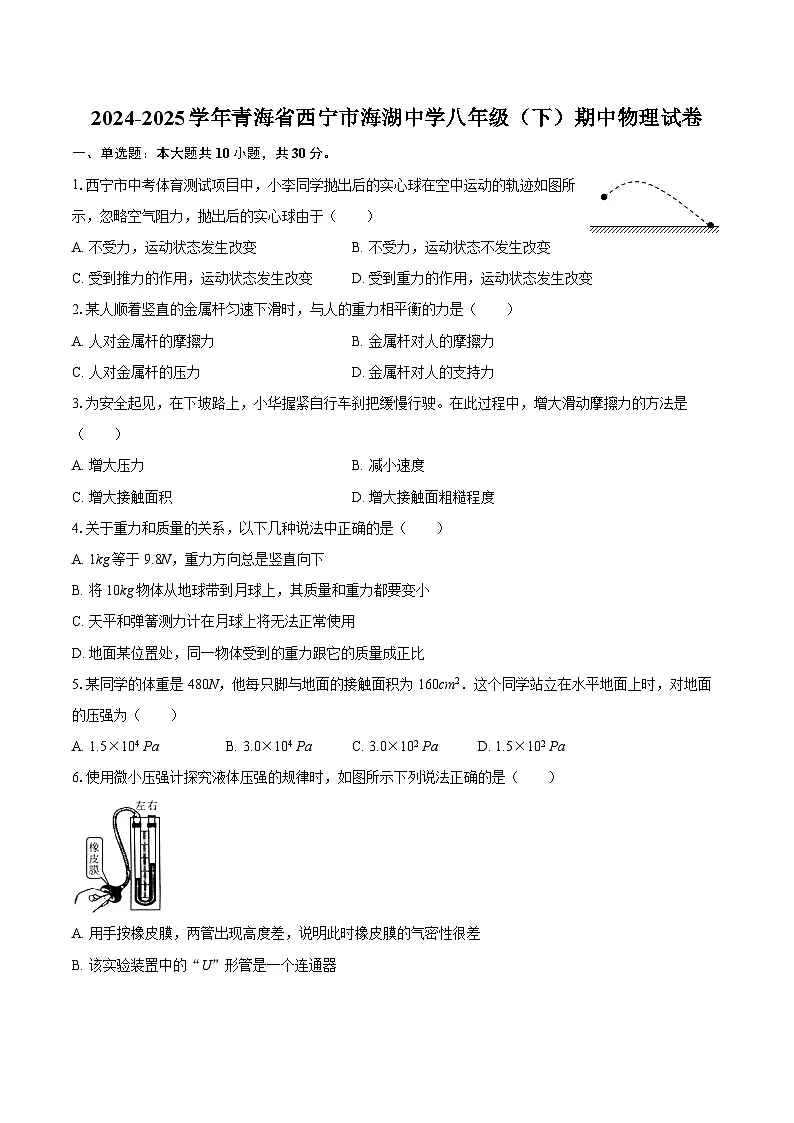 2024-2025学年青海省西宁市海湖中学八年级(下)期中物理试卷-自定义类型第1页