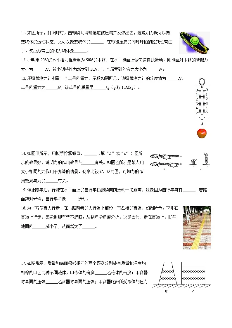 2024-2025学年青海省西宁市海湖中学八年级(下)期中物理试卷-自定义类型第3页