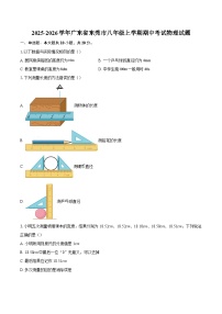 2025-2026学年广东省东莞市八年级上学期期中考试物理试题-自定义类型