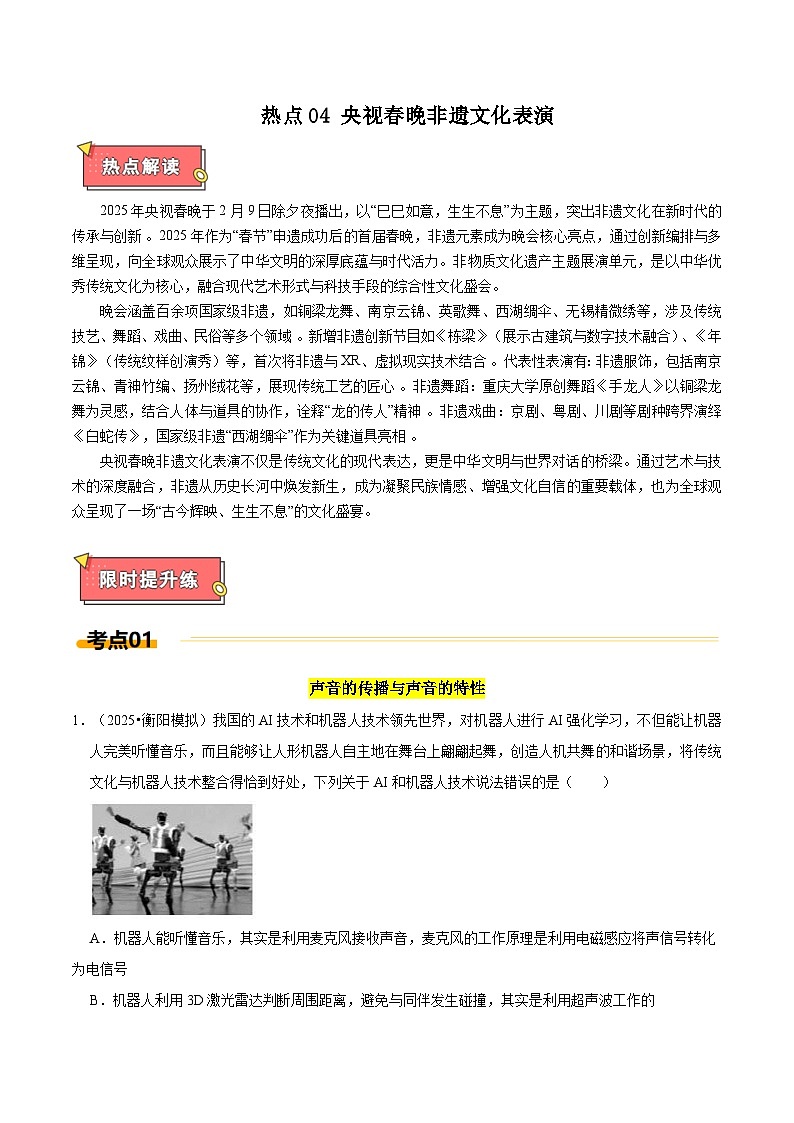 热点4 央视春晚非遗文化表演(原卷版)第1页