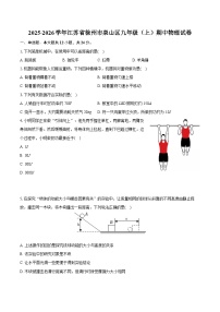 2025-2026学年江苏省徐州市泉山区九年级（上）期中物理试卷（有答案和解析）