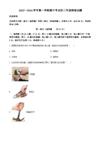 陕西省西安交通大学附属中学分校2025-2026学年九年级上学期期中物理试题（含答案）