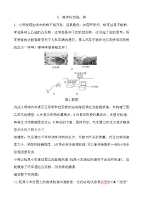 初中物理教科版（2024）八年级下册（2024）跨学科实践：桥优秀测试题
