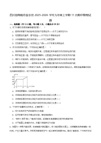 四川省绵阳市盐亭县2025-2026学年九年级上学期11月期中物理试题（有答案）