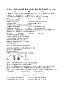 2024-2025学年泸州市江阳区第七学区九年级（上）月考物理试卷（12月）