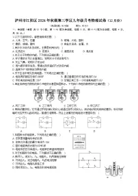 2024-2025学年泸州市江阳区第三学区九年级（上）月考物理试卷（12月）