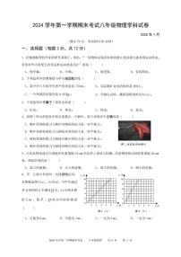 上海市青浦区东片联考2024-2025学八年级上学期期末物理学科试卷