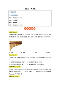 专题01  声现象（全国通用）-【习题+答案】2025年中考物理真题分类汇编