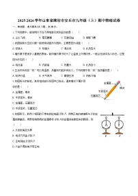 2025-2026学年山东省潍坊市安丘市九年级（上）期中物理试卷-自定义类型