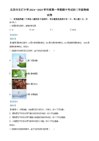 北京市文汇中学2024—2025学年八年级上学期期中考试物理试题（解析版）-A4
