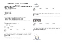 天津市滨海新区2025-2026学年九年级上学期11月期中物理试题(有答案和解析)