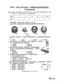 广东省惠州市惠阳区2024-2025学年九年级上学期1月期末物理试题