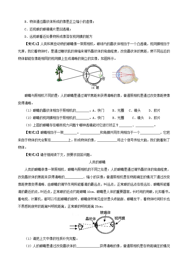 (人教版)八年级物理上册同步考点讲与练5.4 眼睛和眼镜(原卷版)第2页
