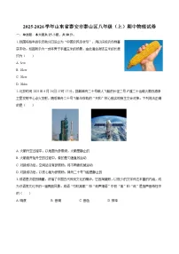 2025-2026学年山东省泰安市泰山区八年级(上)期中物理试卷-自定义类型